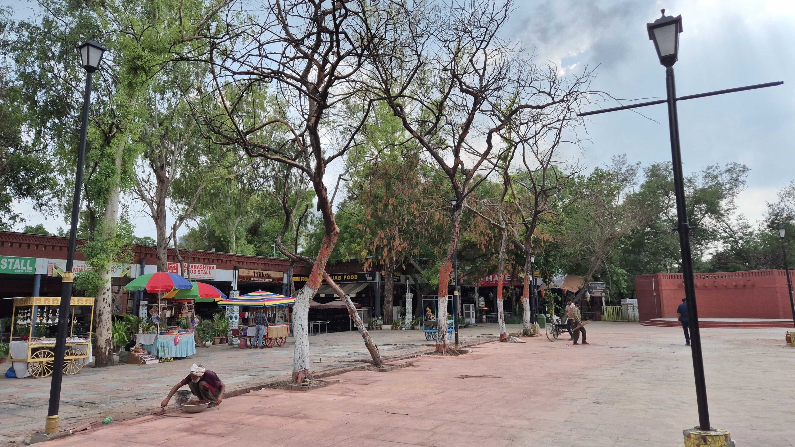 Trees that were charred in the fire