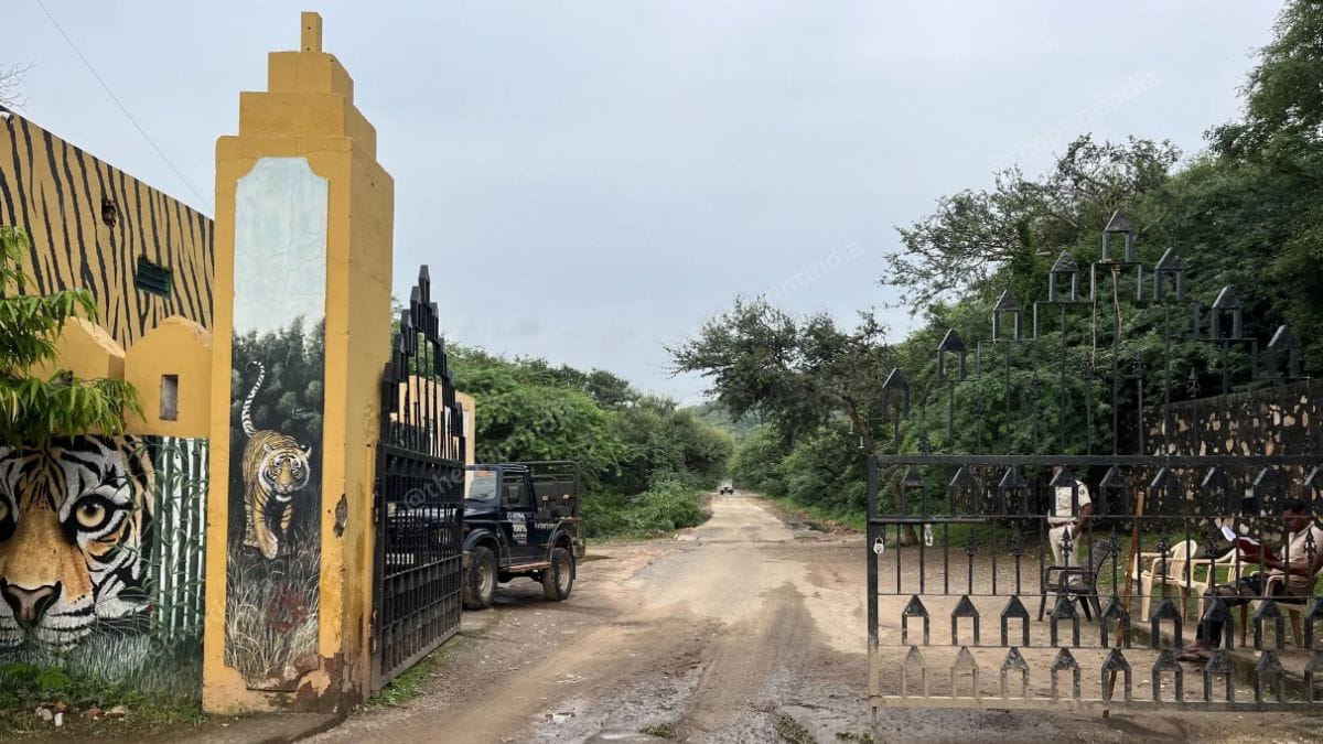  A shared gate leading to the tourist zone, Ranthambore Fort, and the Ganesh Temple inside Ranthambore National Park, Rajasthan | Antara Baruah