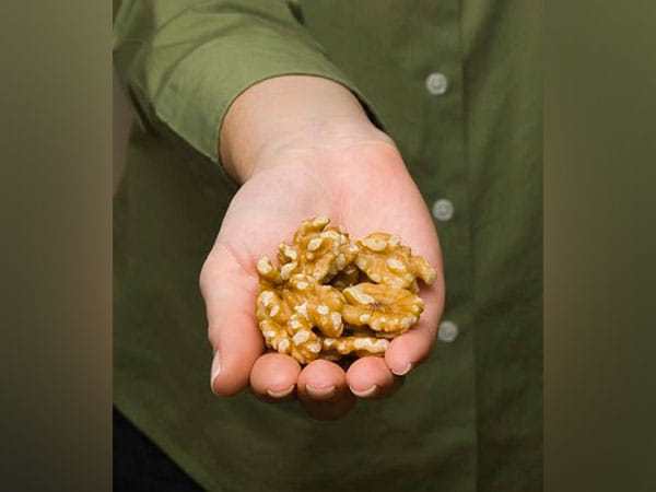 Walnuts Among Omega-3 Foods Linked to Brain Development Benefits in Children and Adolescents