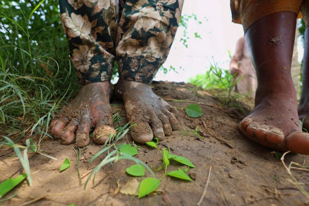 Dalit women farmers in Punjab 