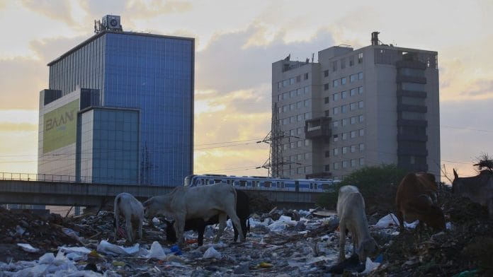 Gurugram garbage crisis