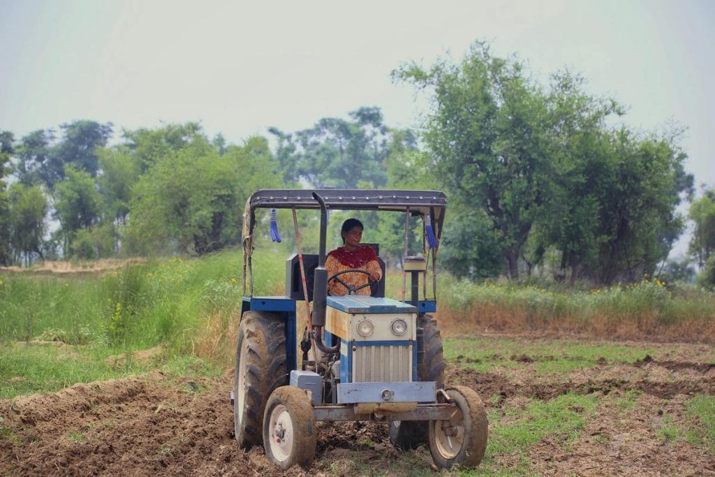 Dalit women farmers in Punjab