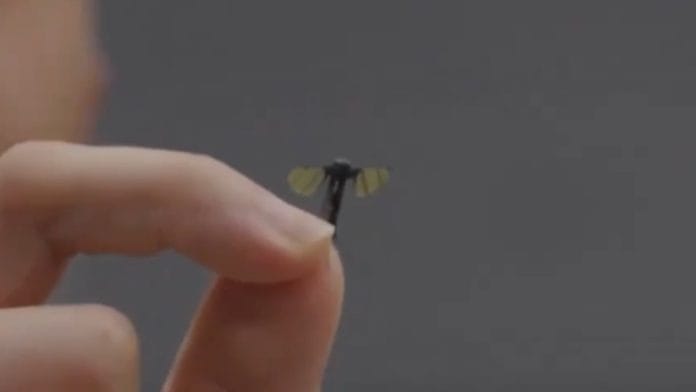 Chinese micro-drone prototype | X