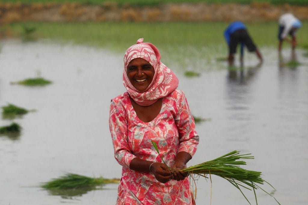 Dalit women farmers in Punjab