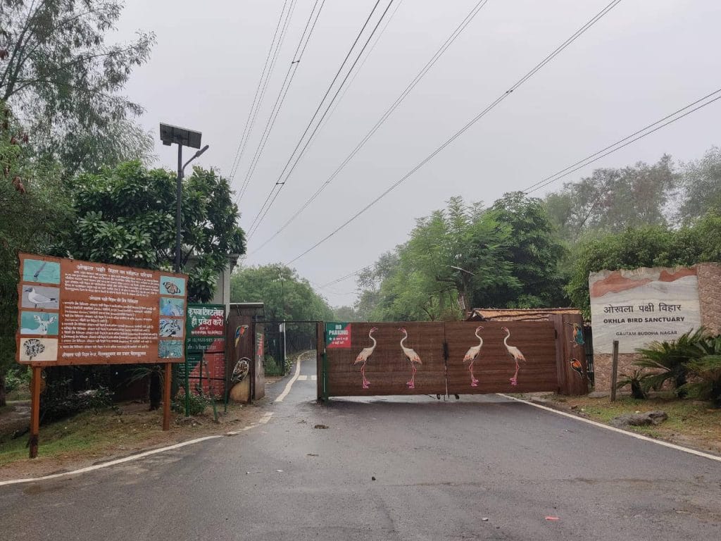 Okhla Bird Sanctuary