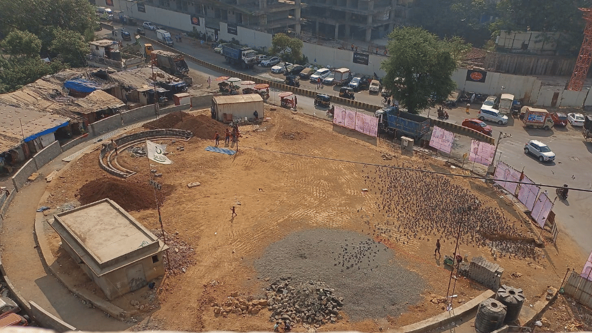 A flock of pigeons at a kabutarkhana in Mumbai's Santacruz West | By Special Arrangement