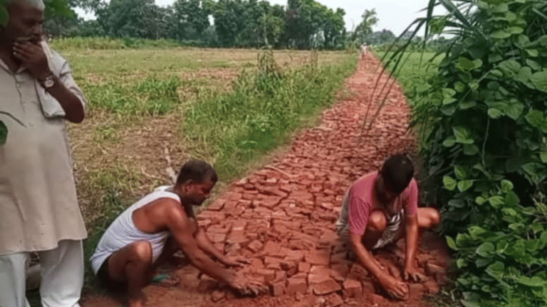 Fed up of 75 yrs of empty promises, Mainpuri villagers rebuild road on their own, and ban politicians