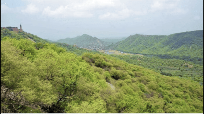A view of the Aravallis. | Representative image | ANI