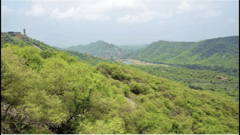 ‘Does 100m-height criterion reduce green cover?’ Why SC put in abeyance its order on Aravallis definition