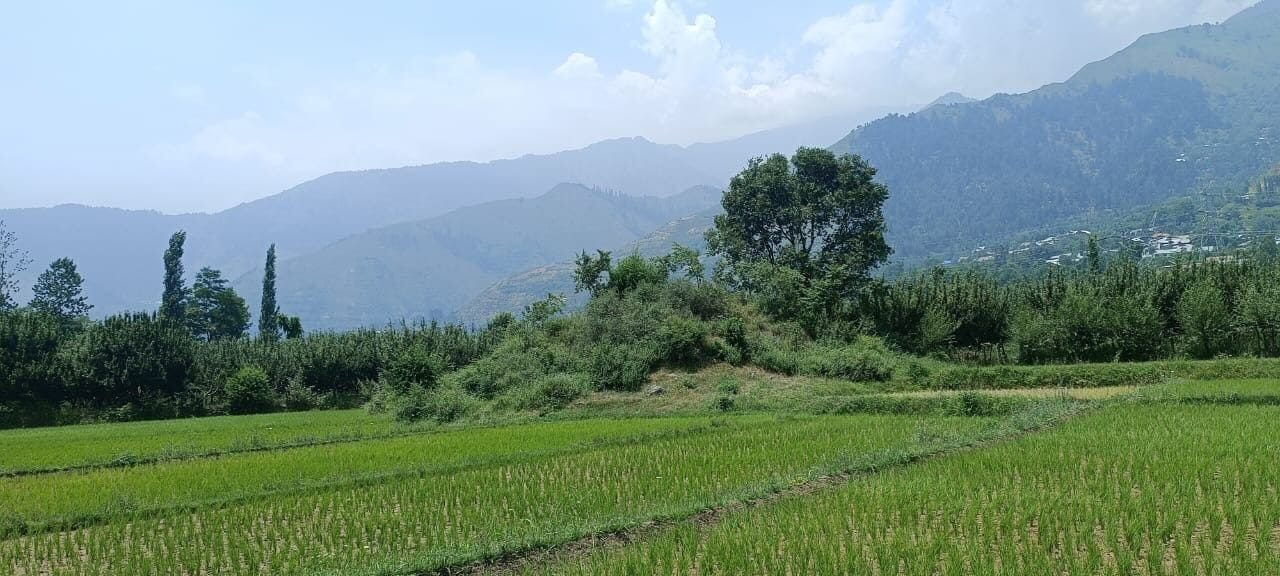 Mohammad Ajmal Shah and a team from the Directorate of Archaeology, Archives and Museums have already visited the exacavation site, Zehanpora in Baramulla district | Photo: By special arrangement