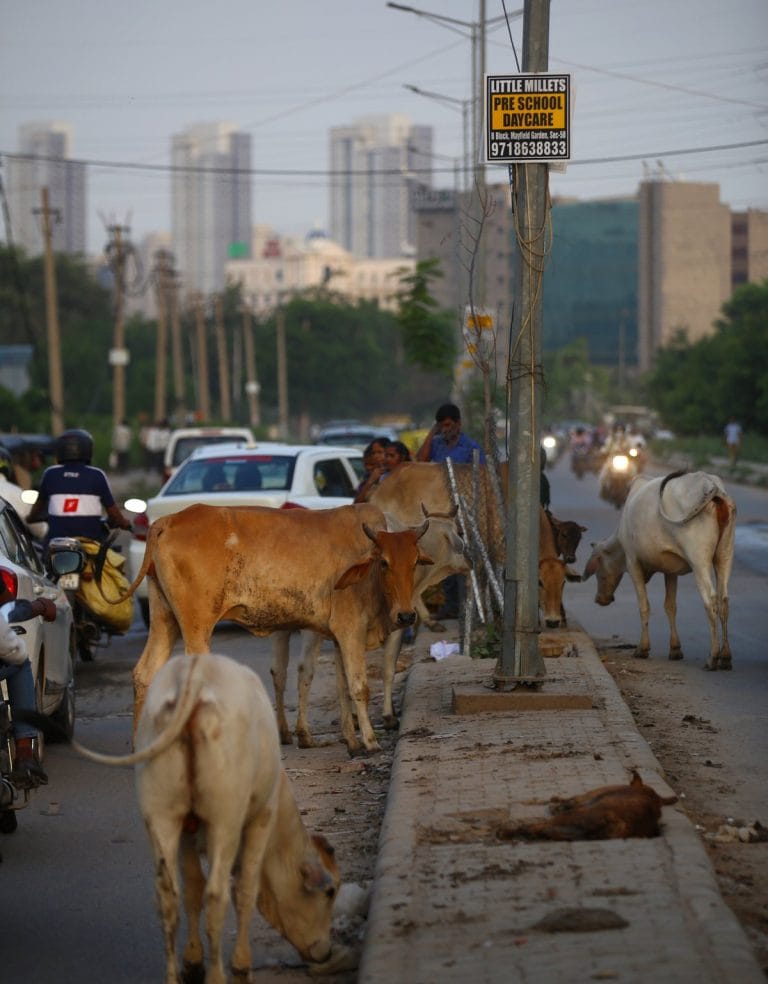 SubscriberWrites: When Education becomes the enemy