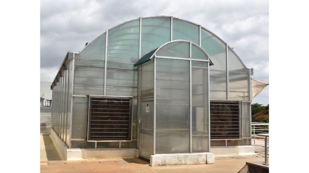 TIGS’ greenhouse is located on the top floor of the building. | Special Arrangement