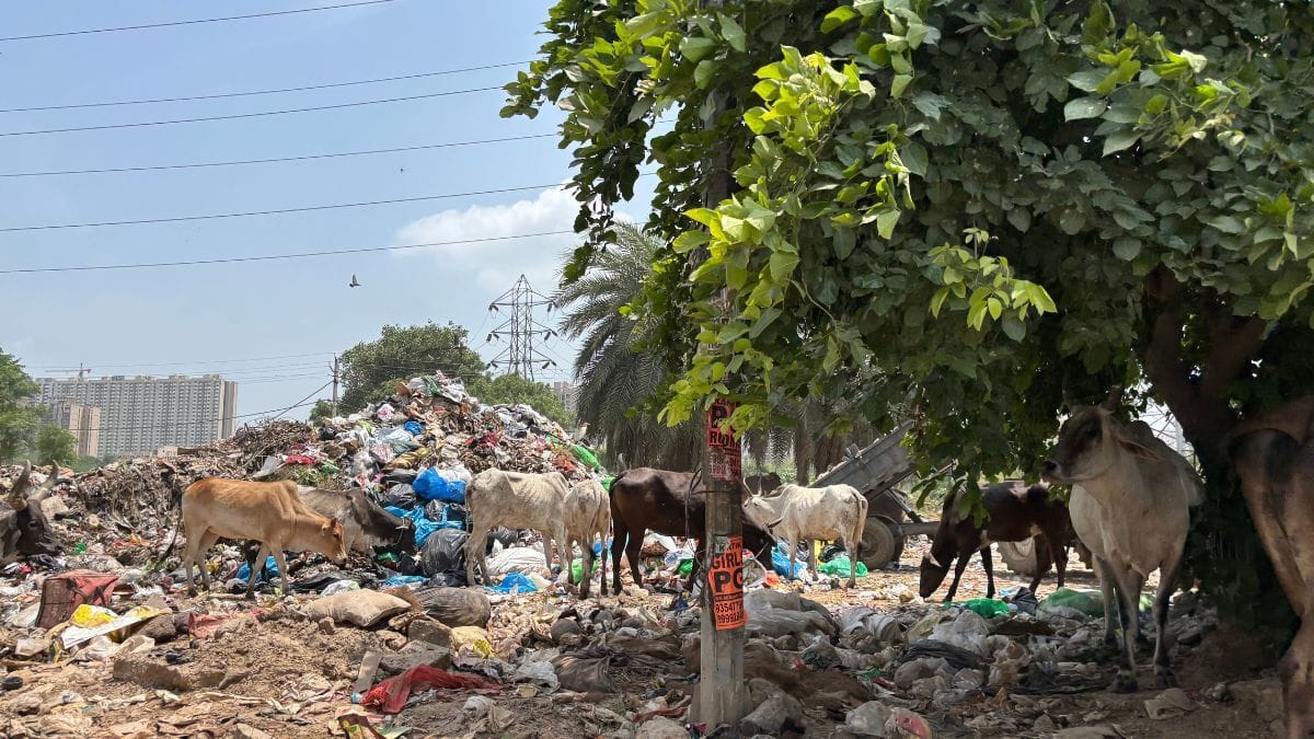 Mountain of garbage getting collected near Sector 70, Gurugram | Samridhi Tewari, ThePrint