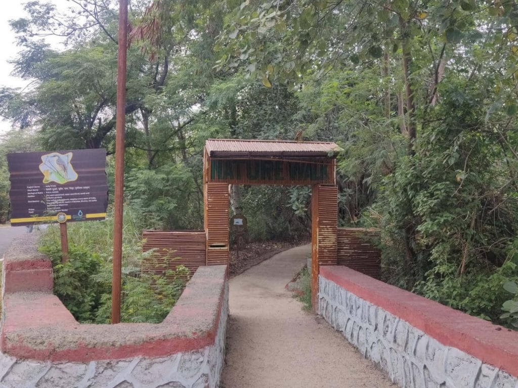 Okhla Bird Sanctuary