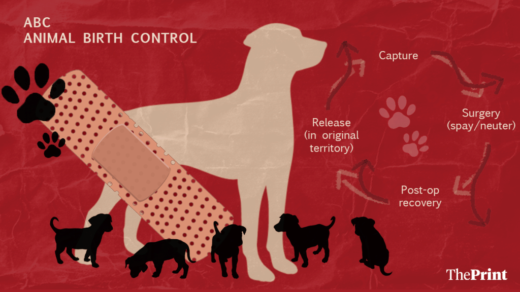 ABC of Animal Birth Control

