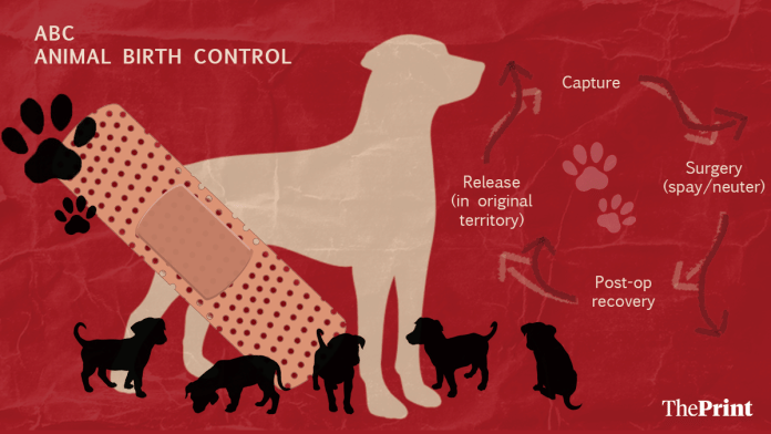 Illustration: Shruti Naithani | ThePrint