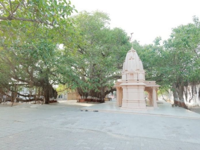Historic Paryushan Festival at Siddhavad Tirth, Palitana