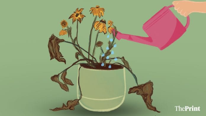 An illustration of a dying plant being watered, indicating the idea of getting back together with an ex.