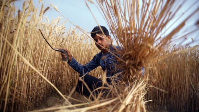 Representational Image of farmer | Photo: ANI