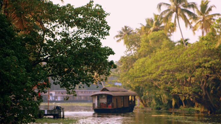 SubscriberWrites: The Kerala model— Reality of facts