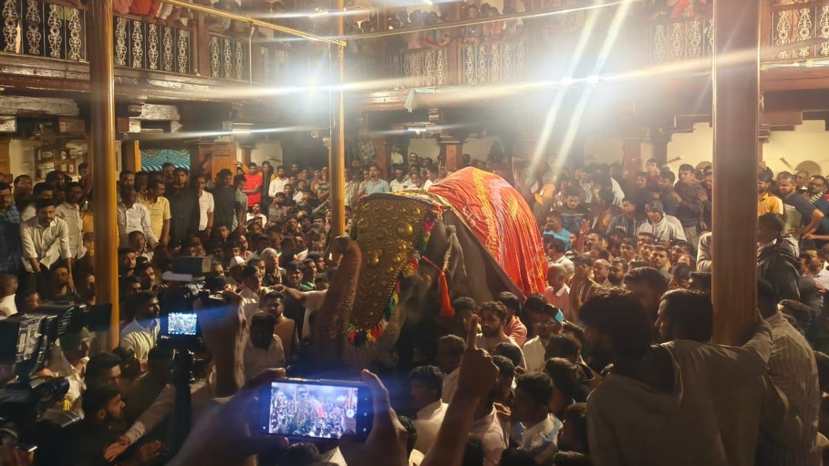 Gathering organised in Nandani the night before Madhuri was sent to Vantara | By special arrangement