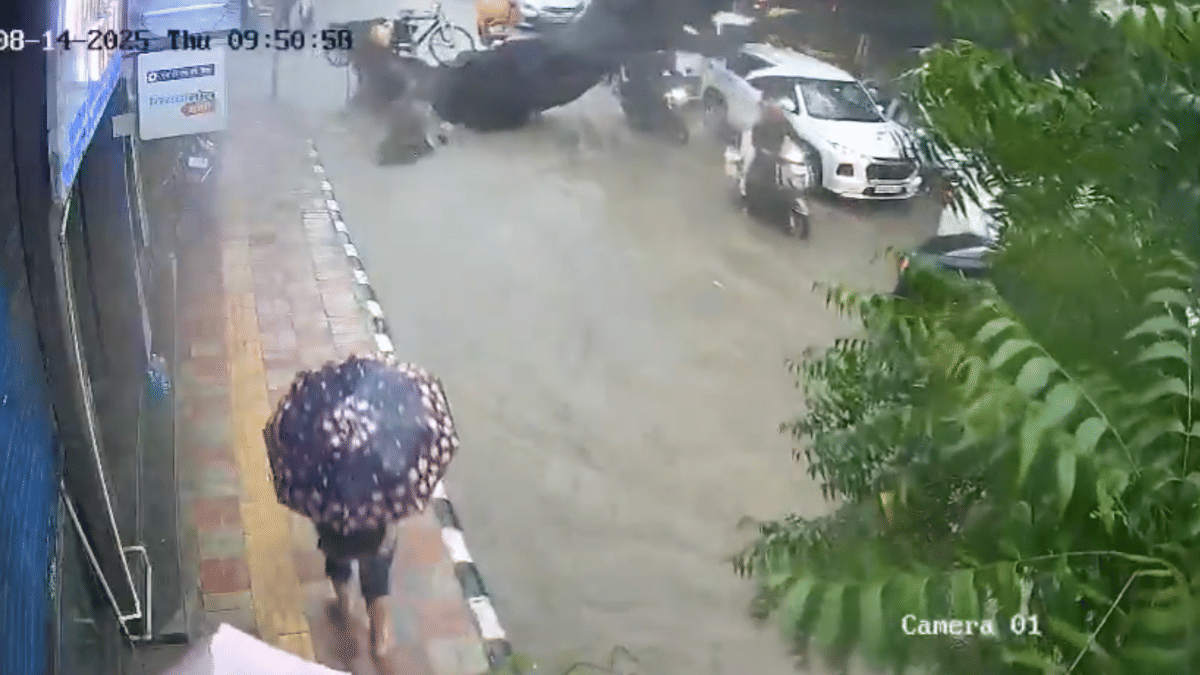 Man killed, daughter injured as tree falls on bike during heavy rain in ...