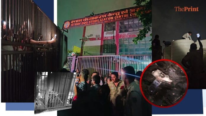 Featured image by Manali Ghosh | ThePrint