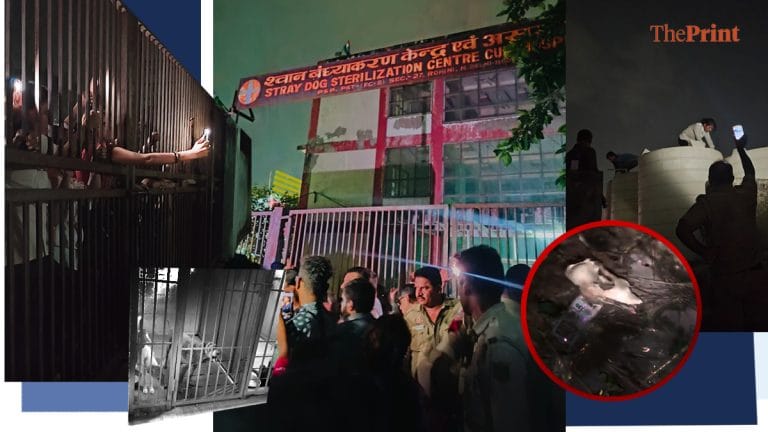 Skull & bones, stray dogs’ ‘shrieks’. A midnight protest puts uneasy spotlight on Rohini ABC centre