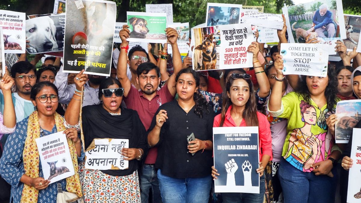 Animal lovers take part in a protest against the Supreme Court's order directing all stray dogs in Delhi-NCR to be moved to shelters, in Lucknow | ANI