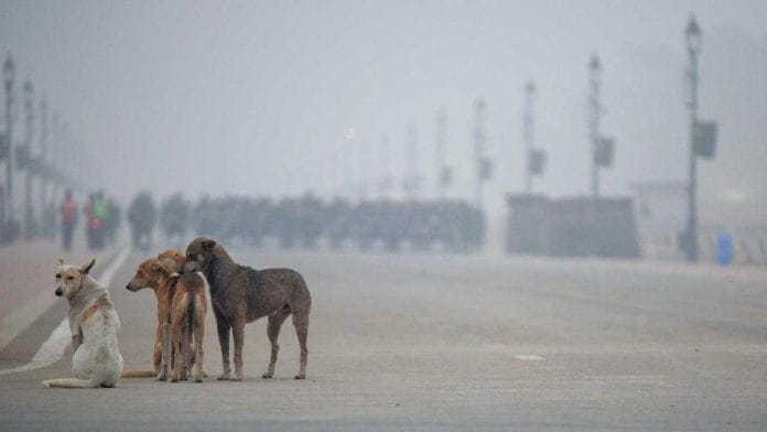 Representational image | Ankit Roy | ThePrint