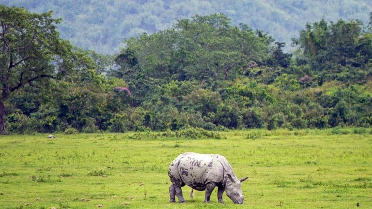 Clearing the air: Scientists find missing link to calculate atmospheric CO2 for climate change strategy