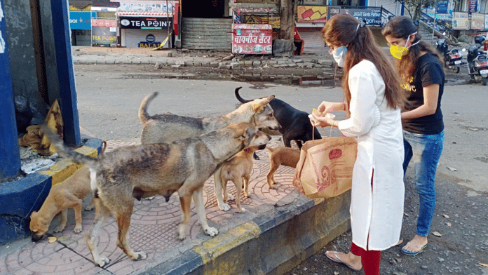 Court has instructed municipal bodies and other agencies to work in coordination to create adequate shelters for stray dogs. | ANI