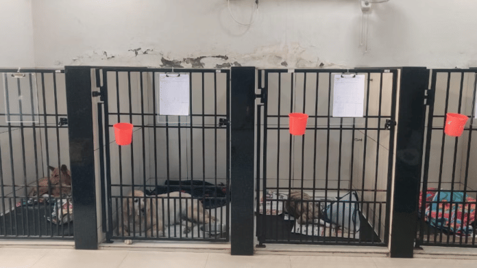 Representational image | Mrinalini Dhyani | ThePrint