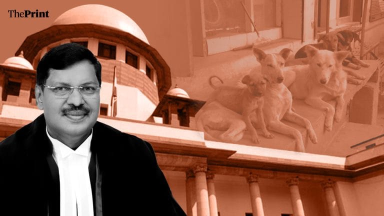 I will look into this, says CJI on stray dogs matter amid uproar over SC order. What happened in court