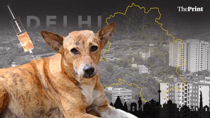 Featured image by Shruti Naithani | ThePrint