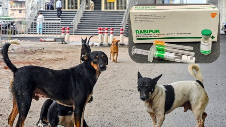 High number of dog bites & poor post-exposure vaccination coverage drive India’s rabies crisis