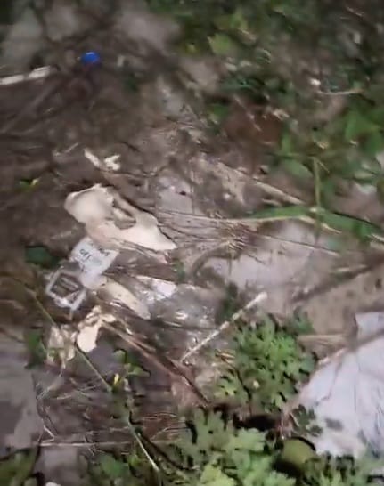 Animal skull found near the Rohini Sector 27 ABC Centre | By special arrangement