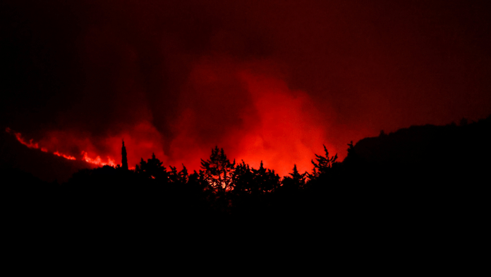 Trees burn during a wildfire near Narbonne, southern France, 6 Aug 2025
