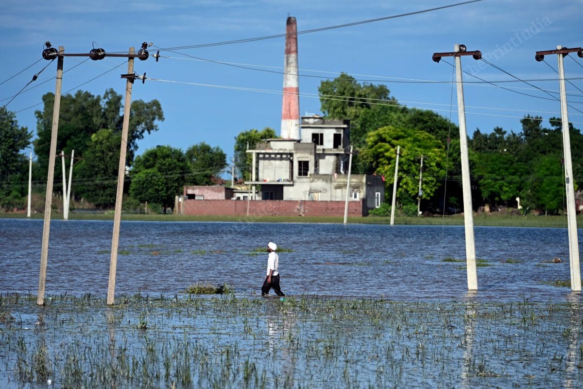 A farmer walking through his flooded field | ThePrint | Suraj Singh Bisht