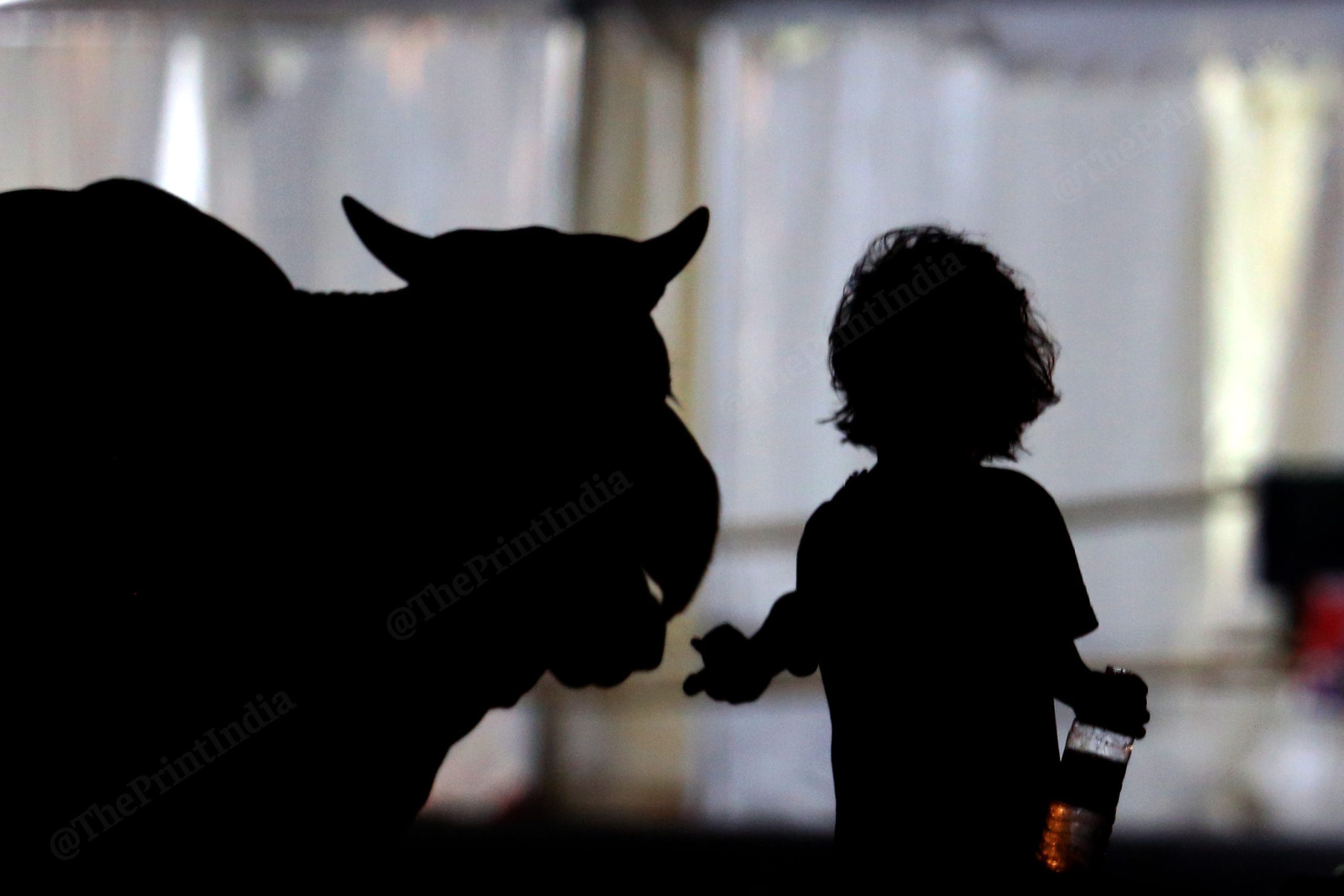 | Praveen Jain | ThePrint