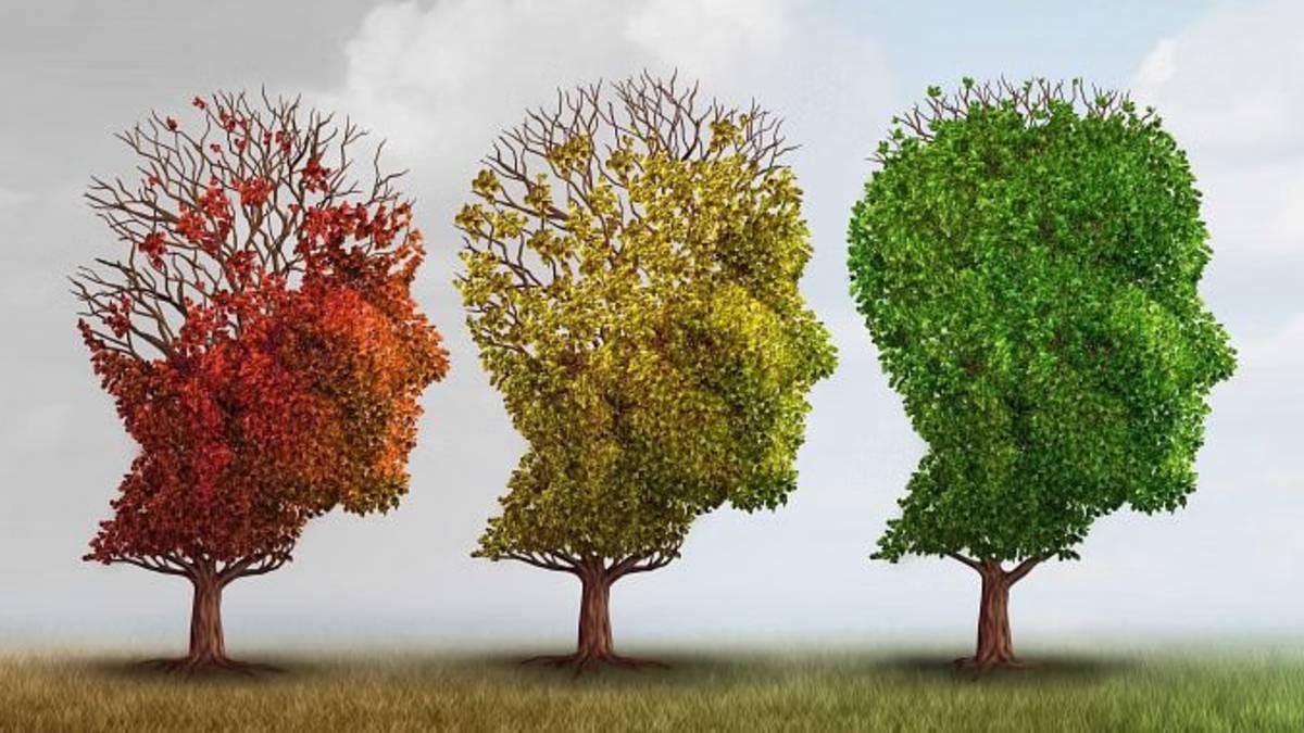 A new blood test can ‘clock’ age when Alzheimer’s symptoms may begin. What doctors feel about it