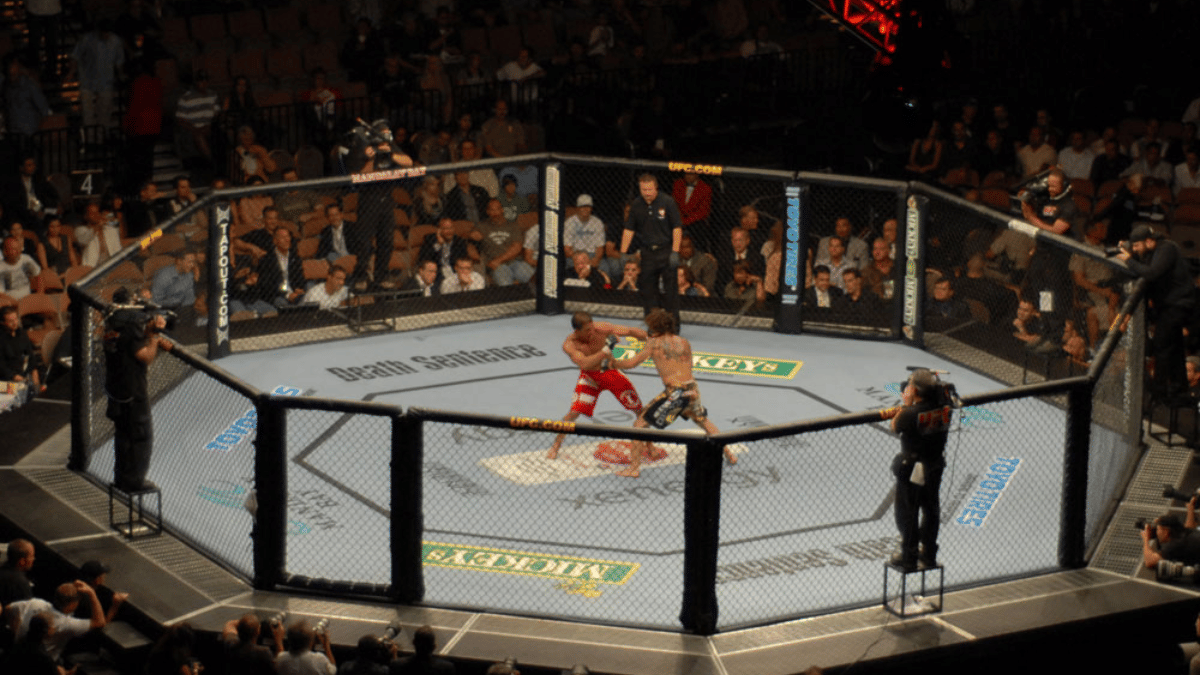 A shot of Octagon from a 2007 Ultimate Fighting Championship event in the US. | Lee Brimelow