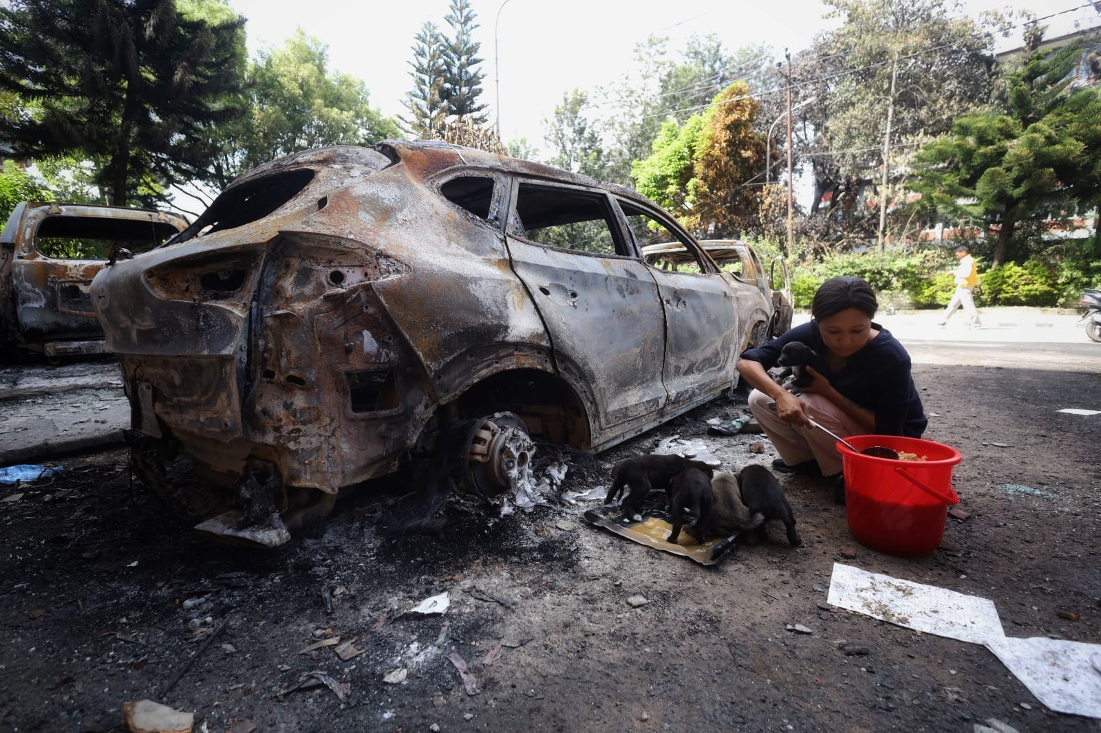 Animal lover Sneha Shrestha and her ilk have been a blessing for the starved and traumatised strays in the capital | Manisha Mondal | ThePrint