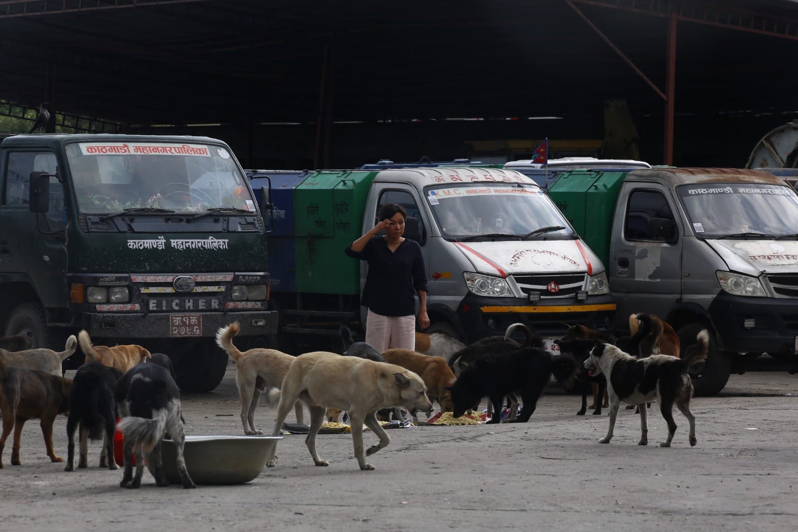 Animal feeders have been now driving to various spots in Kathmandu for providing food to stray dogs | Manisha Mondal | ThePrint