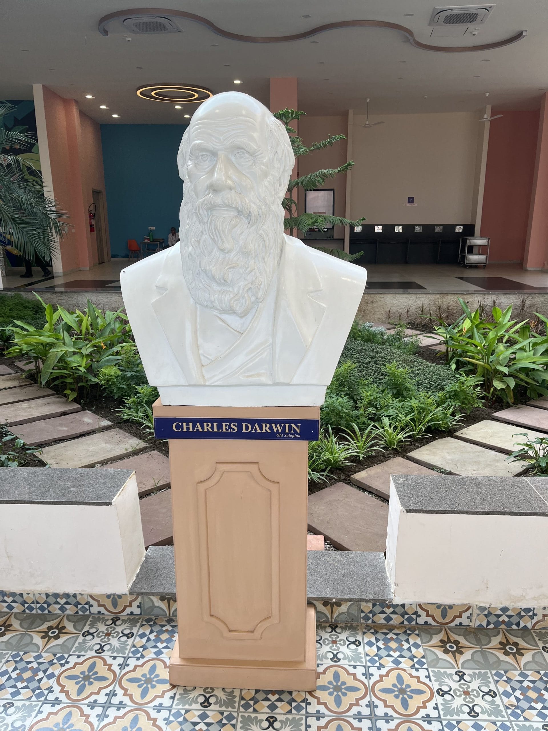 A Charles Darwin bust. Darwin was a graduate of the school