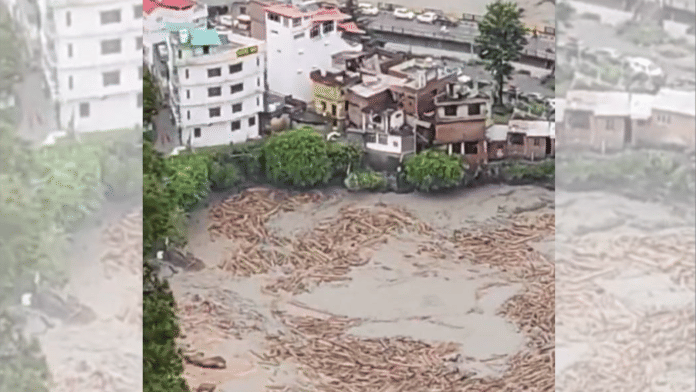 A visual of the floating logs on Ravi river from videos viral on X