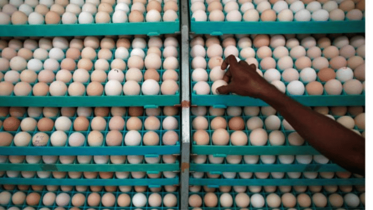Why egg prices are increasing across the country