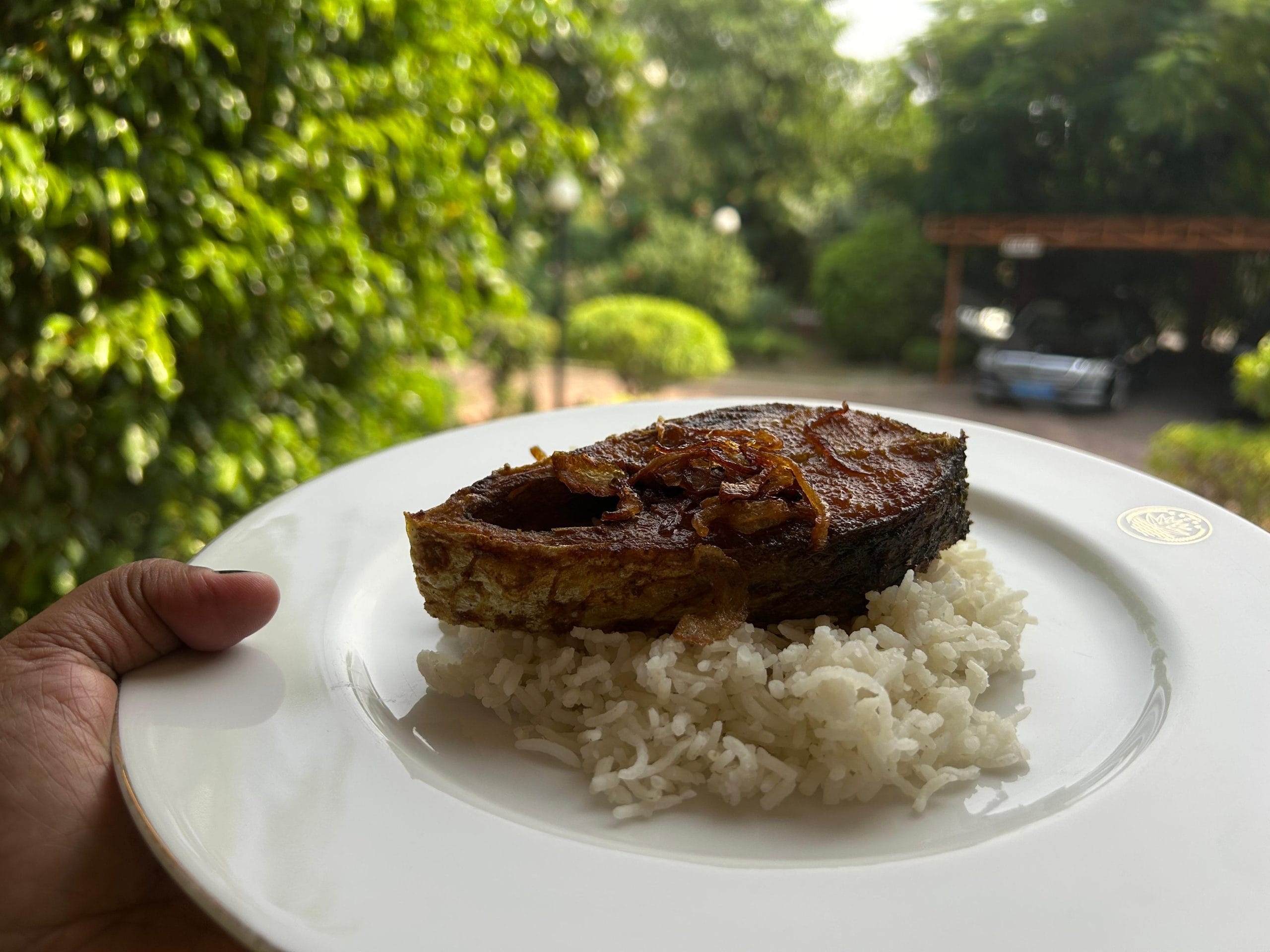 Fried hilsa with rice | Photo: Manisha Mondal | ThePrint