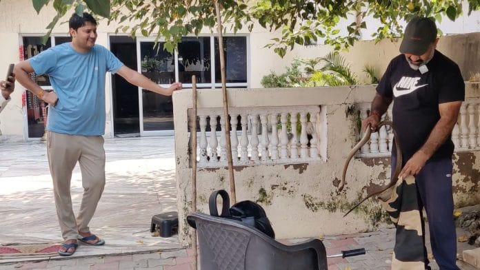 Anil Gandas, holding the snake he just rescued in Gurugram | Sakshi Mehra, ThePrint