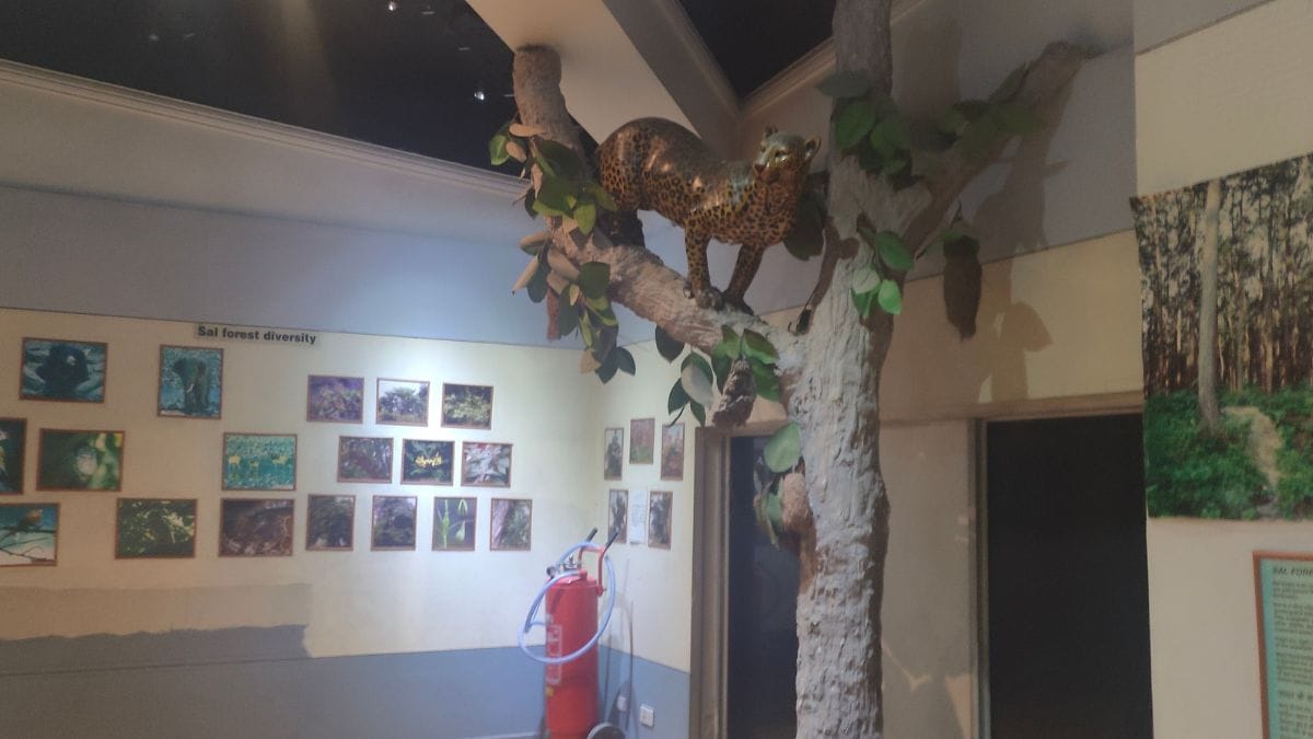 The visitors museum inside Yamuna Biodiversity Park, which lists out the flora and fauna that the park has managed to revive. | Soumya Pillai | ThePrint